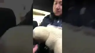 уско глаза, сиски нана