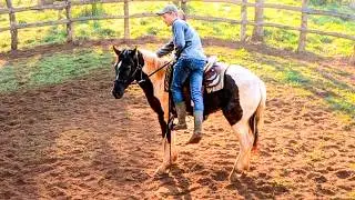 WILD HORSE Feels My Weight In The SADDLE! | Taming A Wild Horse [EP11]