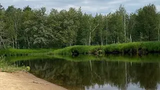 ⛺️Выезд на природу с палатками/🎣рыбалка под Рязанью