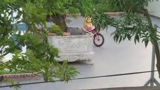 Camera (video)