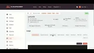 How to check Nginx Error Logs through Cloudpanzer?