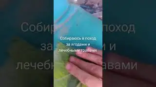 #музыка #гномы #боже #тренд #существа #рыцари #юмор #мем #жиза #прикол поход