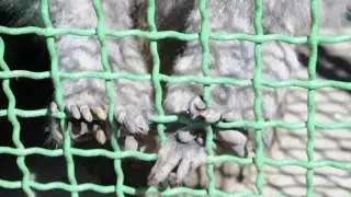 МЕНСКИЙ ЗООПАРК