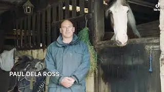Examples of my work. TikTok campaign. Paul and his farm