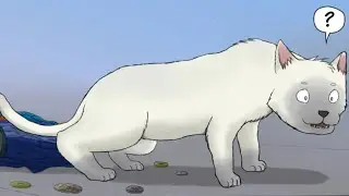 Cat Transformation (sequence)