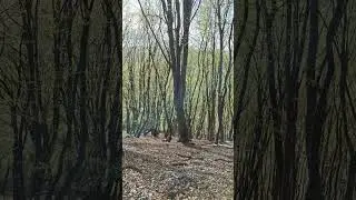 #эндурок.ч.р