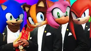 Knuckles the Echidna & Sonic the Hedgehog & Amy Rose & Sticks the Badger - Coffin Dance Song Cover
