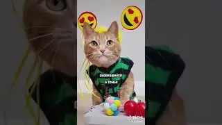 Рыжий кот счастье в дом принесëт!