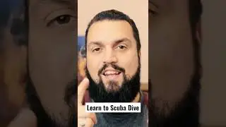 How to Scuba Dive?