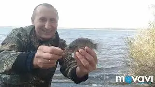 Ловля Теляпии
