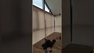 Рулонные жалюзи на заказ в Москве