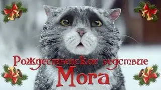 Рождественское бедствие Мога (RUS)