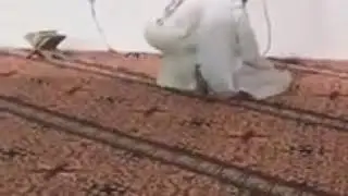 Evil cat