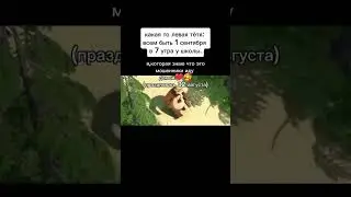 не верьте им!🤫 #мем#школа#смешныевидео#врекомендации#глобальныерекомендации#врек#реки#актив#котики