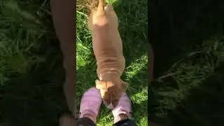 Толстячок 🥰