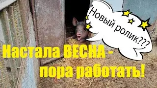 Весна - хороший повод поработать! / Наводим порядки