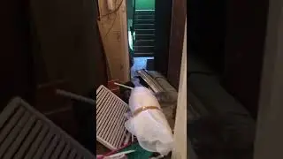 Вывоз мусора из квартиры. День 2 