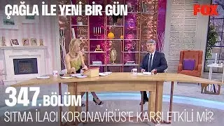 Sıtma ilacı Koronavirüs tedavisinde etkili mi? Çağla ile Yeni Bir Gün 347. Bölüm