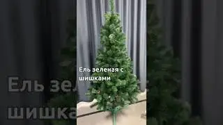 Ель с шишками