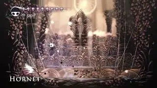Beating Hornet until Hollow Knight: Silksong comes out.Day 987.