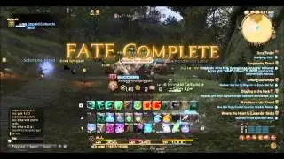 Final Fantasy XIV A Realm Reborn FF XI event Guide