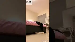 شاهد قبل الحذف ميريام طي بث مباشر نار
