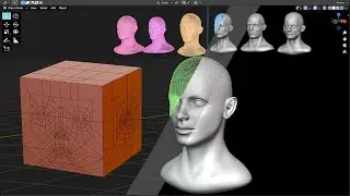 Transitions with shape keys