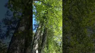 #родина СОЛНЦЕ НАД НАМИ