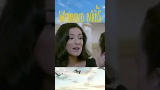 تهدید بزرگ برای عمارت #shorts #yaralikuslar #woundedbirds