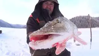 ТРОФЕЙ НА ЖЕРЛИЦУ. ЧАСТЬ 3.