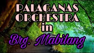 Palaganas Orchestra in Brg  Mabilang part 4