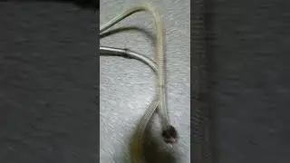 Сраные экономисты ---► Скупой платит дважды! 🏠. #просто_сантехник
