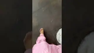 Siddhivinayak Gaye Darshan Ke liye | Mini Vlog 7