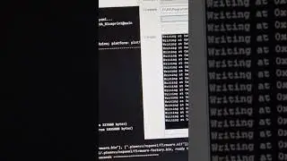 DSRocker - Flashing Sonoff NSPanel for HomeAssistant #homeassistant #sonoff #nspanel #smarthome #esp
