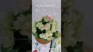 ЕК-Танец Кувшинок 