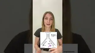Задание про процесс репликации ЕГЭ 