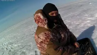 Амелькина грива оз Чаны 30 03 2020