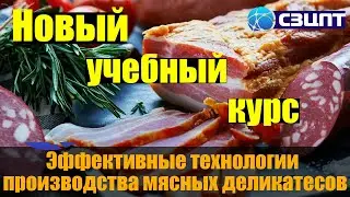 Открываем мясной бизнес. Как начать зарабатывать. Учебный курс анонс. Джерки, чипсы, ветчины колбаса