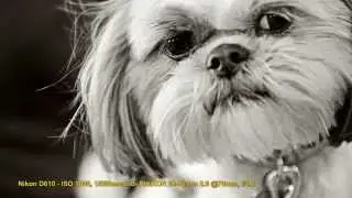 Nikon Behind the Scenes: Photos with the Family and Pets