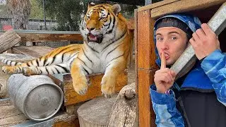 Hide N Seek Inside A Zoo!