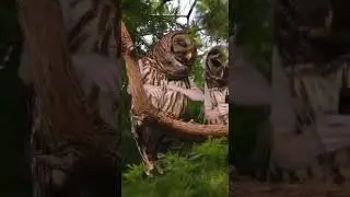 я птичка ❤