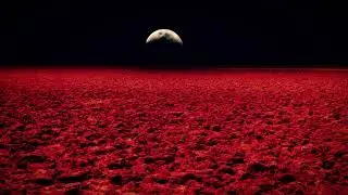 Psychedelic / Stoner / Desert Rock - Playlist 44