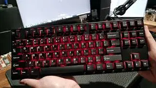 This Keyboard Is Only $60? | TY87 - Budget Entry Level Keyboard