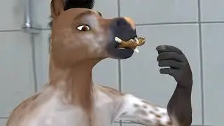 Horse eats husky 