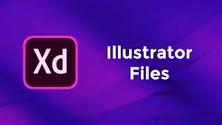 Illustrator Files - Adobe Xd Basics Course