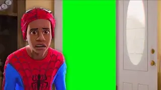 Miles Morales was followed - Green Screen (Spider-Man: Into the Spider-Verse meme)