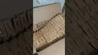КуклаДОМная запаковка