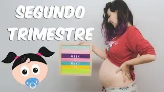 DIÁRIO DE GRAVIDEZ - SEGUNDO TRIMESTRE