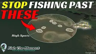 Breaking Down The BEST Structures for Pre-Spawn Bass with Mapping  | FTM Livestream #149