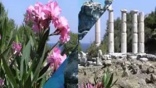 OLA KALA  - Όλα καλά  ( Jorgos Dalaras)